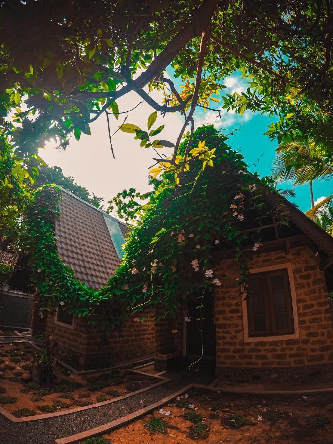 Sky View Cabin أونا واتونا المظهر الخارجي الصورة
